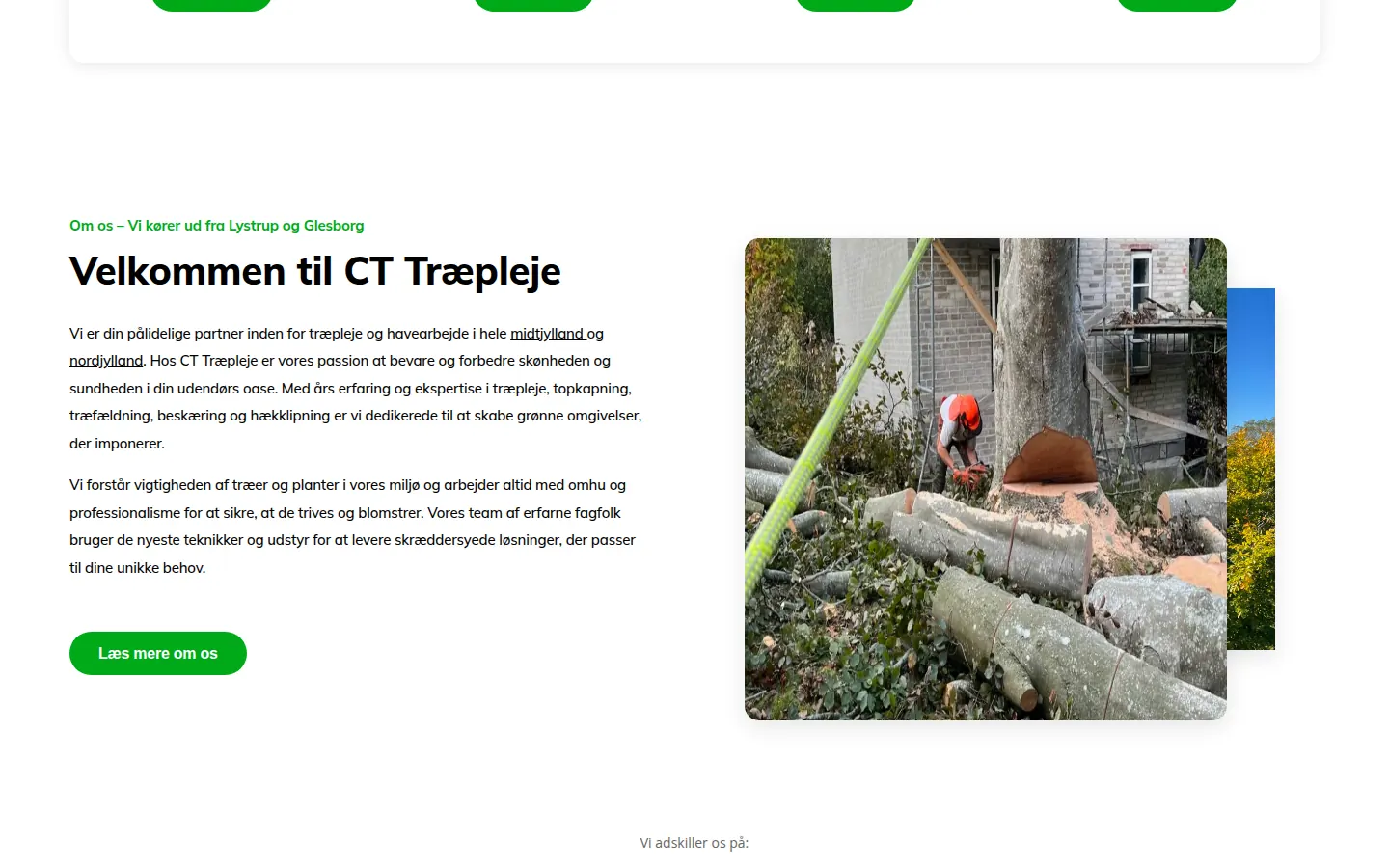 Skærmbillede af CT Træplejes website