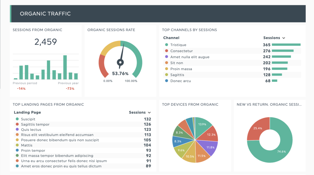 SEO analyse dashboard