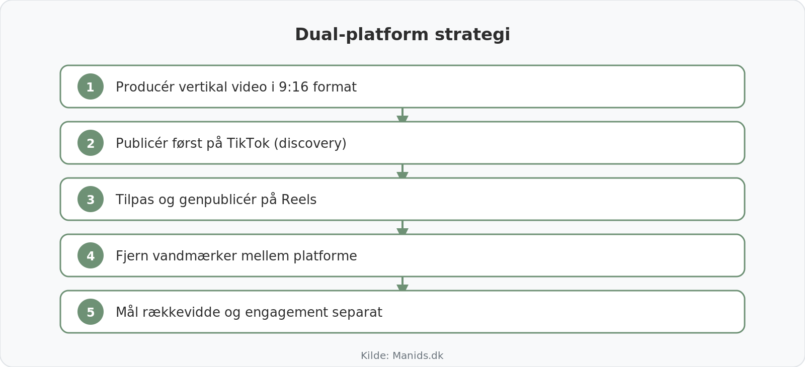 Proces for dual-platform strategi med TikTok og Instagram Reels