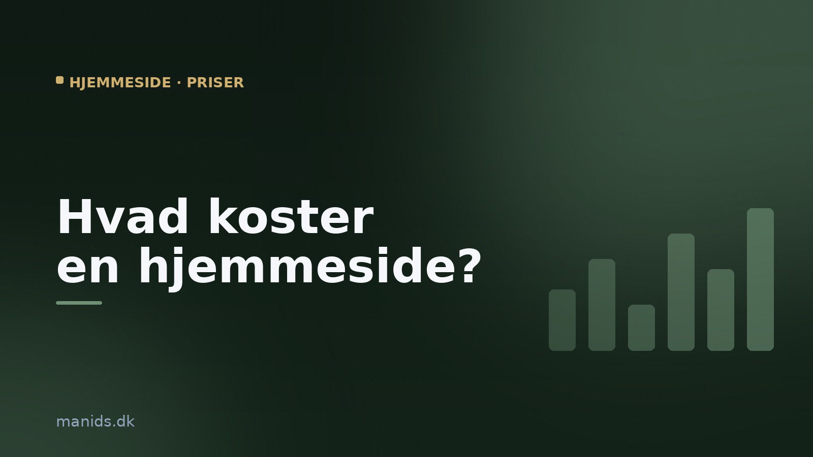 Hvad koster en hjemmeside i 2026? Priser og prisguide