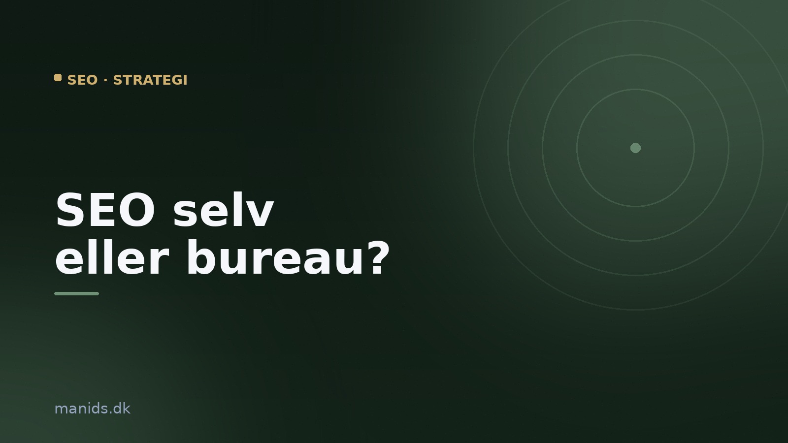 SEO selv eller bureau: hvad kan betale sig for din virksomhed?