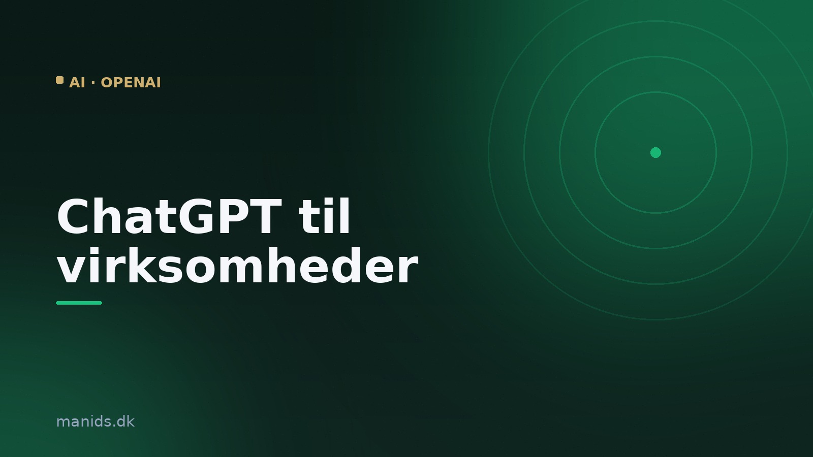 ChatGPT til virksomheder: sådan kommer I i gang